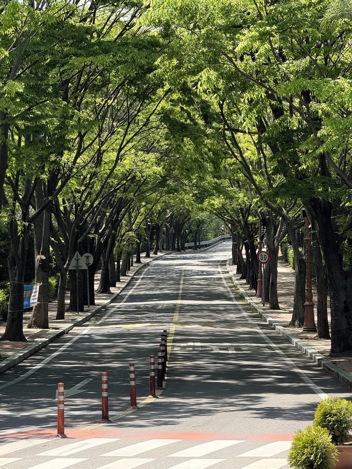 Campus Pathway